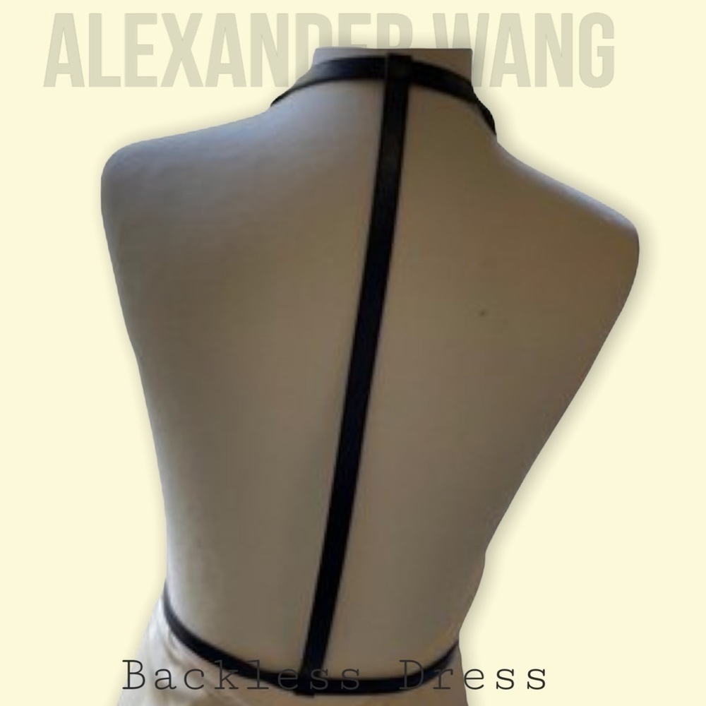Alexander Wang beautiful backless night out dress - Picture 11 of 11